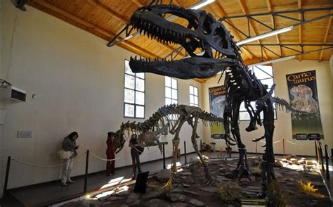 Dinosaurios: harán un parque y un museo con restos fósiles encontrados ...