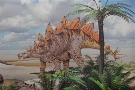 Dinosaurios herbívoros: características y tipos   EspacioCiencia.com