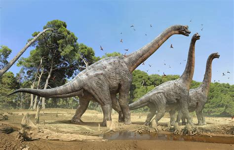 Dinosaurios herbívoros: características y tipos ...