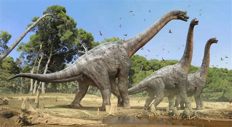 Dinosaurios herbívoros del Triásico – Dinosaurios