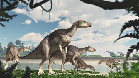 Dinosaurios Herbívoros: Especies, Características y Más   Dinosaurios.co