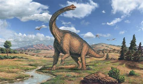 Dinosaurios herbívoros: lista, nombres, tarjetas ...