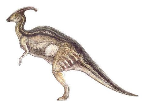 Dinosaurios Herbivoros Nombres   SEONegativo.com