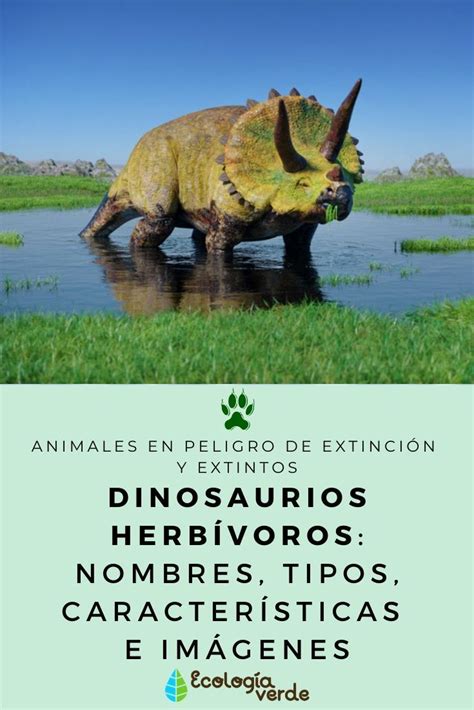 Dinosaurios herbívoros: nombres, tipos, características e imágenes en ...