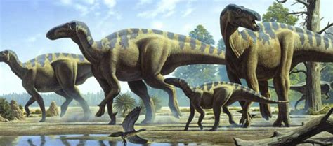 Dinosaurios: Las Hoyas alcanza su sitio en el ámbito ...