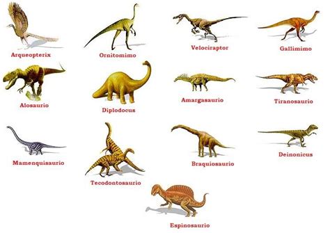 Dinosaurios: Lo que querias saber