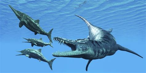 Dinosaurios marinos gigantes no, plesiosaurios   Batanga
