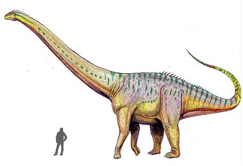 Dinosaurios   Nombres, historia e información ...