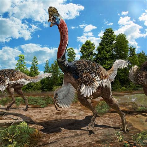 Dinosaurios: Noticias, fotos y nuevos fósiles