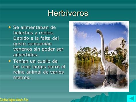 Dinosaurios Omnivoros   SEONegativo.com