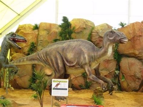 Dinosaurios Park  se instala en el Escenario Puerta del Ángel hasta el ...