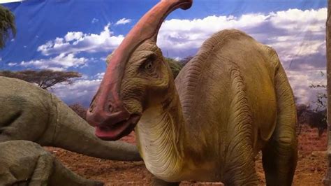 Dinosaurios Park: triceratops y parasaurolophus   YouTube