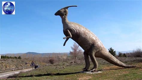 Dinosaurios Ruta de las Icnitas de las Tierras Altas de ...