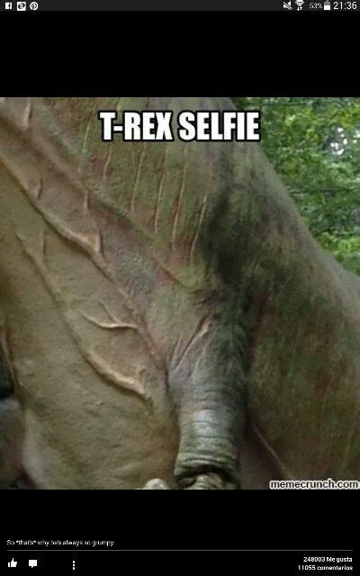 Dinosaurios | T rex humor, Dinosaur funny, Funny pictures