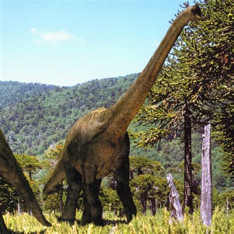 Dinosaurios Terrestres Herbivoros   SEO POSITIVO