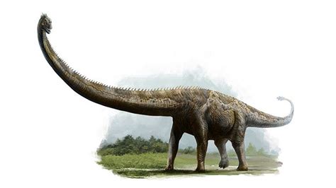Dinosaurios Terrestres   SEONegativo.com