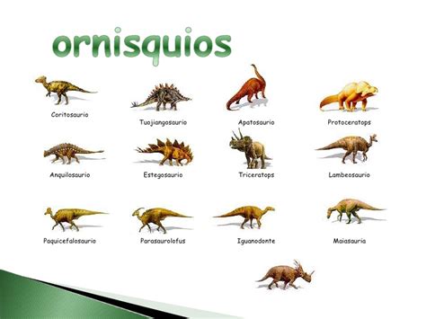 Dinosaurios Tipos Y Los Nombres   SEONegativo.com