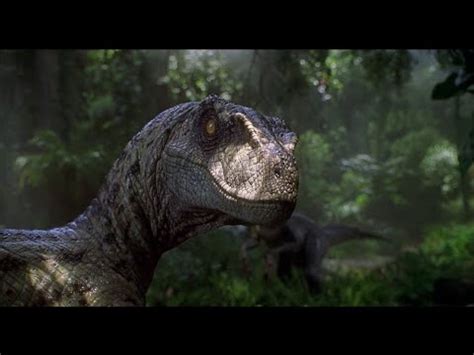 Dinosaurios: Velociraptor  Ladrón veloz    YouTube
