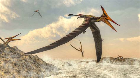 Dinosaurios Voladores: Especies, Características y Más ...