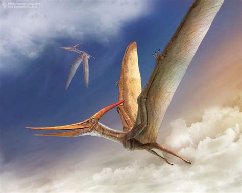 Dinosaurios voladores: ¿por qué son los menos conocidos?