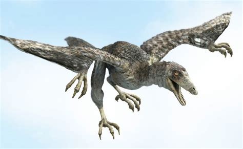 Dinosaurios voladores | Prehistoric animals, Lizard, Bird