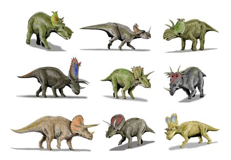 Dinosaurios y Vida Prehistórica: TRICERATOPS.