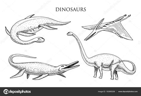 Dinosaurs Elasmosaurus, Mosasaurus, Barosaurus, Diplodocus, Apatosaurus ...