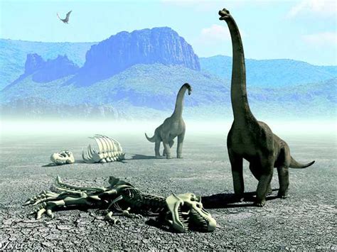 Dinosaurs   Extinct by lack of females?