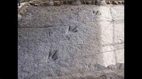 Dinosaurs footprints located in Enciso  Spain    Huellas ...