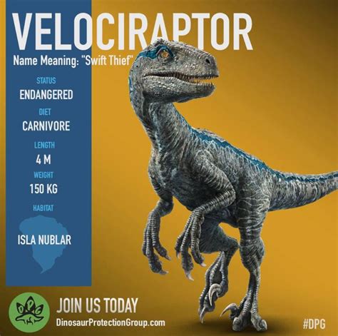 dinosaurs #jurassicworld #velociraptor #raptor | Jurassic ...