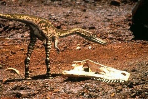 Dinosaurs Left Their Footprints in a Scorched Earth and ...