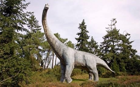 Dinosaurs migrated 200 miles in herds, scientists find ...
