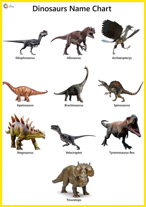Dinosaurs Names in English: Pictures | Videos | Charts ...