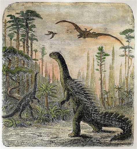 Dinosaurs Of The Jurassic Period Drawing by Mary Evans ...
