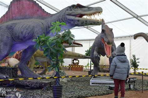 Dinosaurs Tour, la mayor exposición de dinosaurios ...