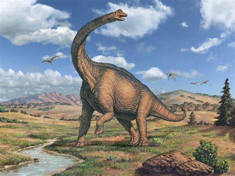 Dinossauros herbívoros   Quais são, tipos, características, exemplos
