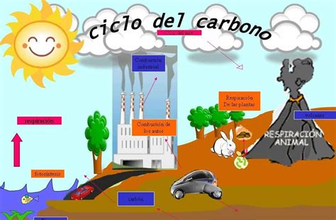 Dióxido de carbono: características