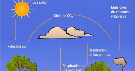 Dioxido de Carbono : Principales Usos