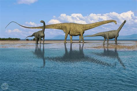 Diplodocus Art by Colin Shulver | Diplodocus, Prehistoric, Dinosaur art