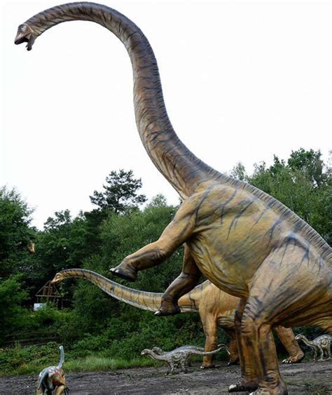 Diplodocus, el cuello largo | Fotosdelanaturaleza.es