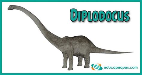 Diplodocus El GRAN dinosaurio de cuello largo