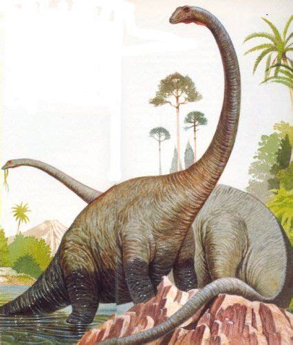 Diplodocus   Google 検索 | Animales de la prehistoria, Animales ...