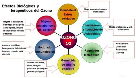 Discolisis Percutanea con Ozono Tratamiento Clinica ...