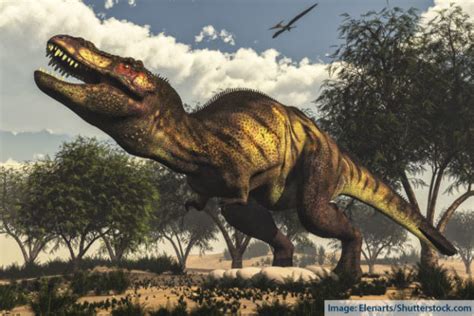 Discover The Different Types Of Dinosaurs With Pictures ...