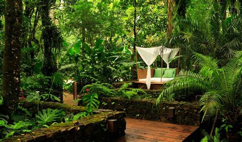 Diseño de exteriores: jardines modernos y tropicales
