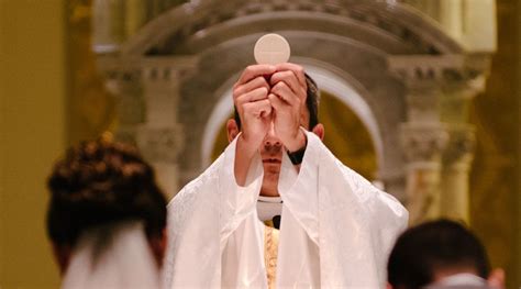 Disminuye número de sacerdotes católicos en el mundo