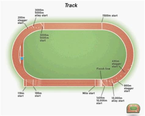 distance//displacement   Physics of track and field