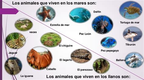 Diversidad de animales en Venezuela