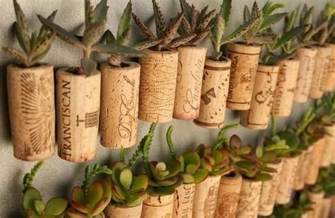 DIY de semilleros originales en casa | Ahorradoras.com