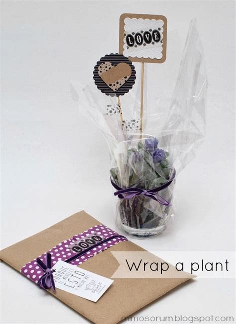 DIY: Envolver una Planta para Regalo   DIY: Wrap a Plant ...